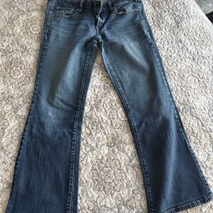 American Eagle Outfitters Blue Flare Jeans